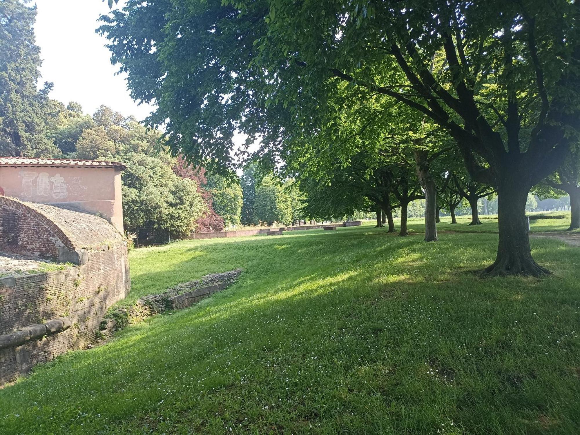 Gem In The City Center Of Lucca With Air Conditioning - Exclusive Ground Floor House Inside The Walls Close To Botanical Garden And Piazza San Martino Villa Exterior photo
